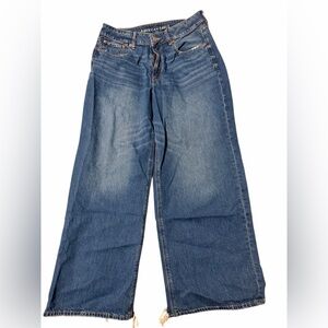 American Eagle Outfitters Blue Wide Leg Jeans